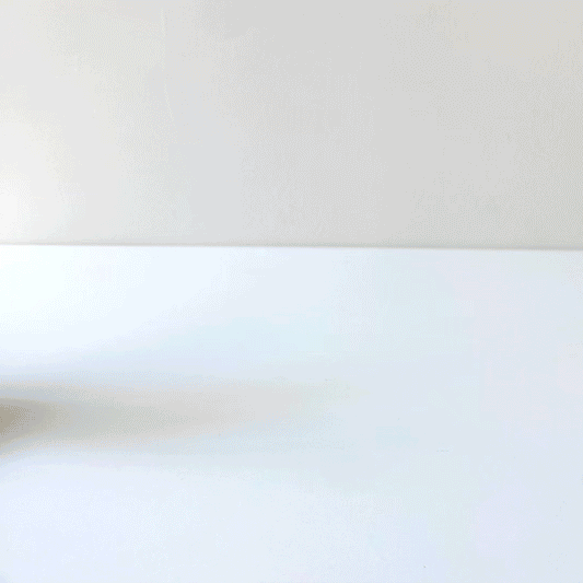 Bunny Push Toy / Wood-Rolling Toddler Toy in Motion