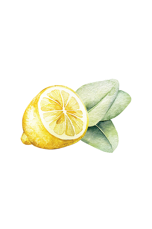 Illustration of a lemon with green leaves on a white background