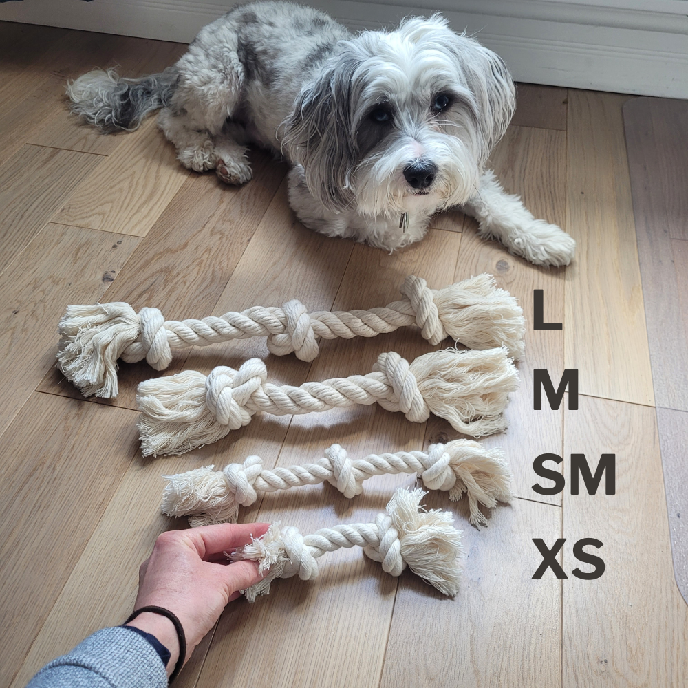 Dog lying on a wooden floor with four sizes of organic cotton rope toys labeled L, M, SM, XS.