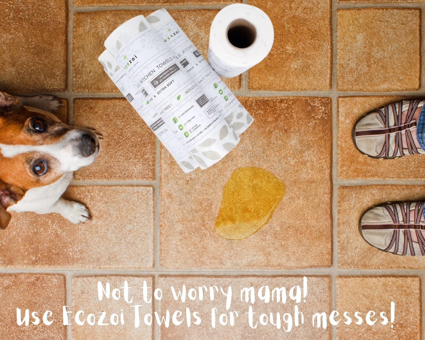 Dog looking at a roll of Ecozoi reusable bamboo kitchen towels on a tiled floor with a stain.