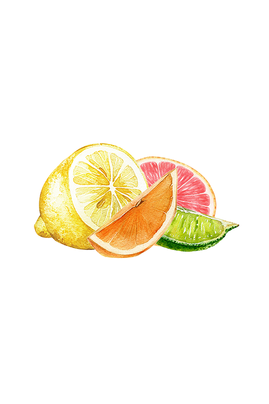Illustration of citrus fruits including a lemon, orange, pink grapefruit, and lime on a white background.