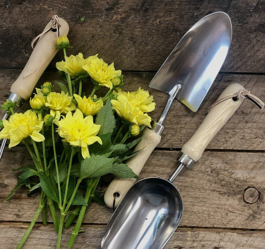 Gardening tools with yellow flowers on a wooden surface