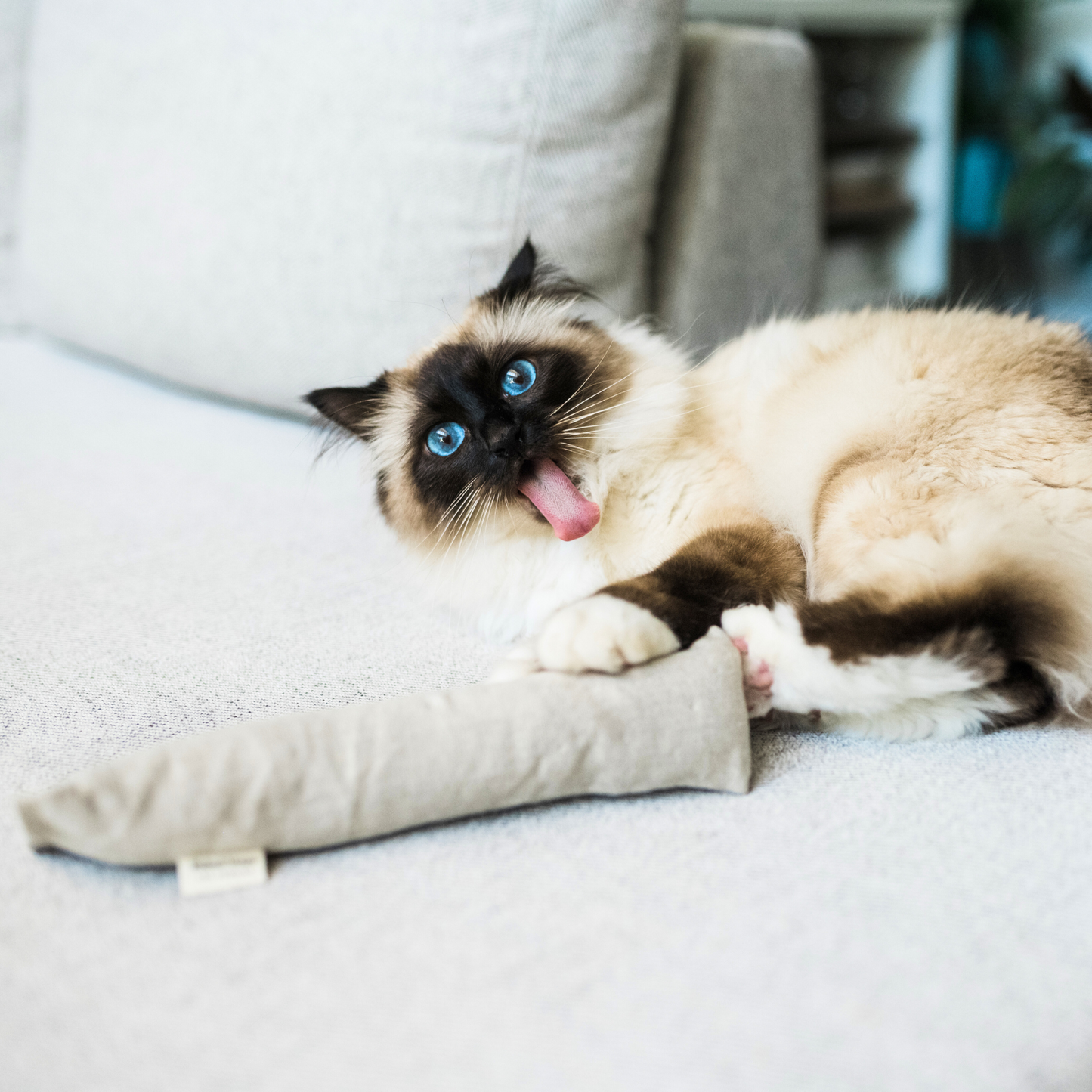 Hemp Cat Kicker Toy by The Kind Pet