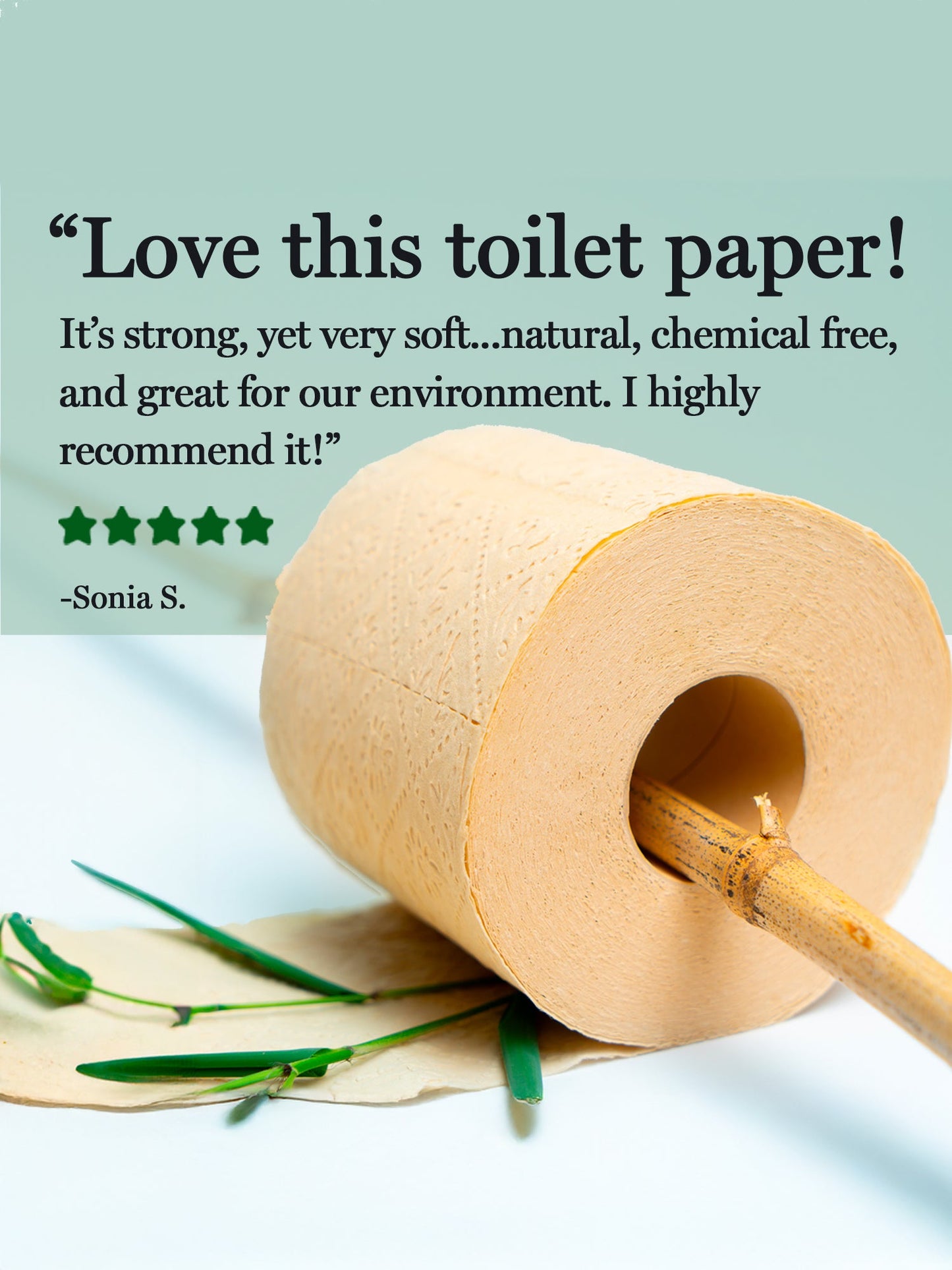 Roll of Panda Eco Paper Bamboo Toilet Paper with a bamboo stick, surrounded by green bamboo leaves on a light blue background, with a five-star rating and review text.