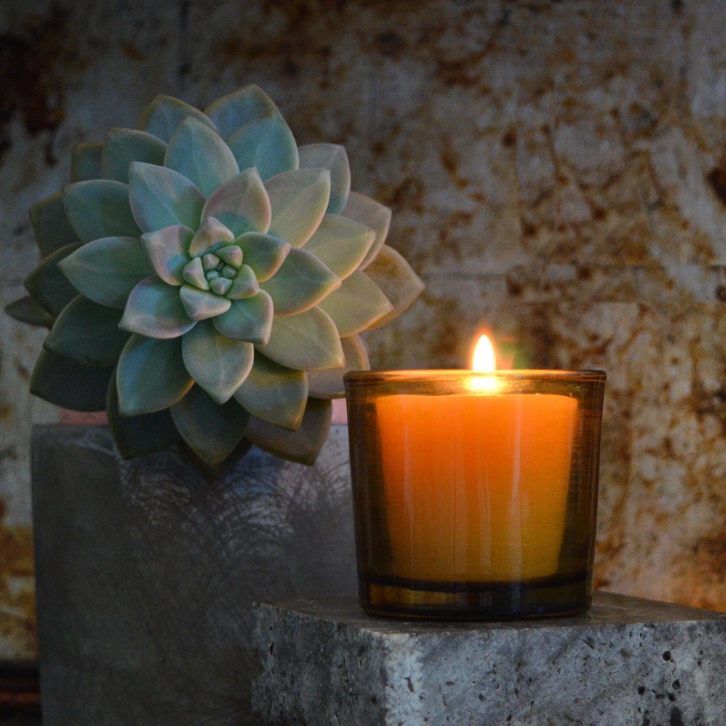 Candle burning next to a succulent plant on a textured surface with a rustic background.