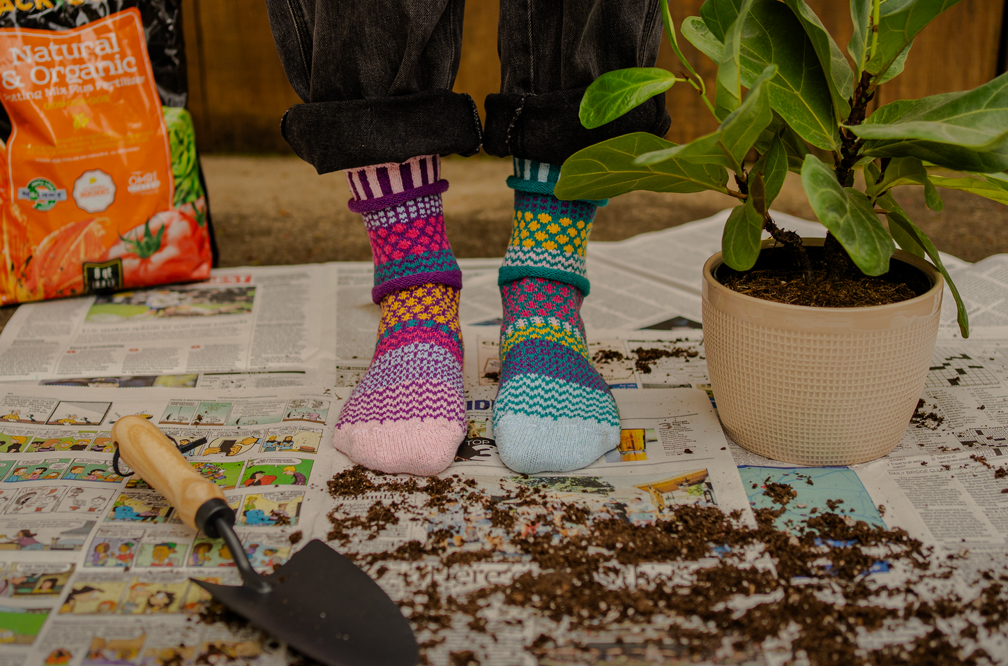 Person wearing Solmate Petunia Crew Socks, mismatched colorful socks, standing on a newspaper with gardening tools and a plant.