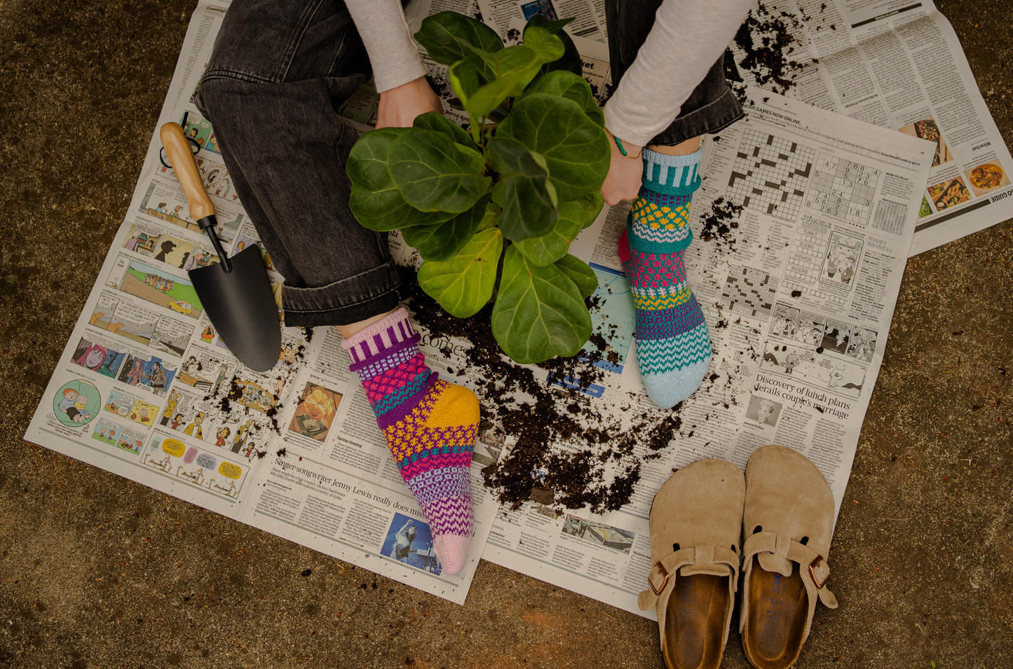 Person holding a plant on newspaper with colorful, mismatched Solmate Petunia Crew Socks on and shoes visible