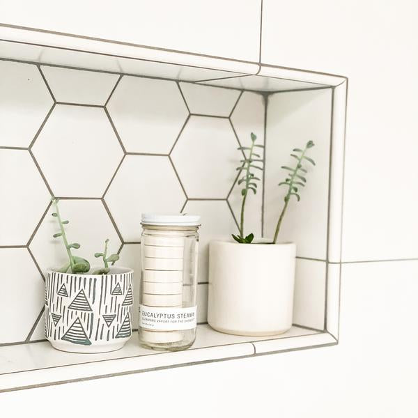 Two potted plants and a jar of eucalyptus steam cleansing shower vapors on a shelf with a geometric tile pattern.