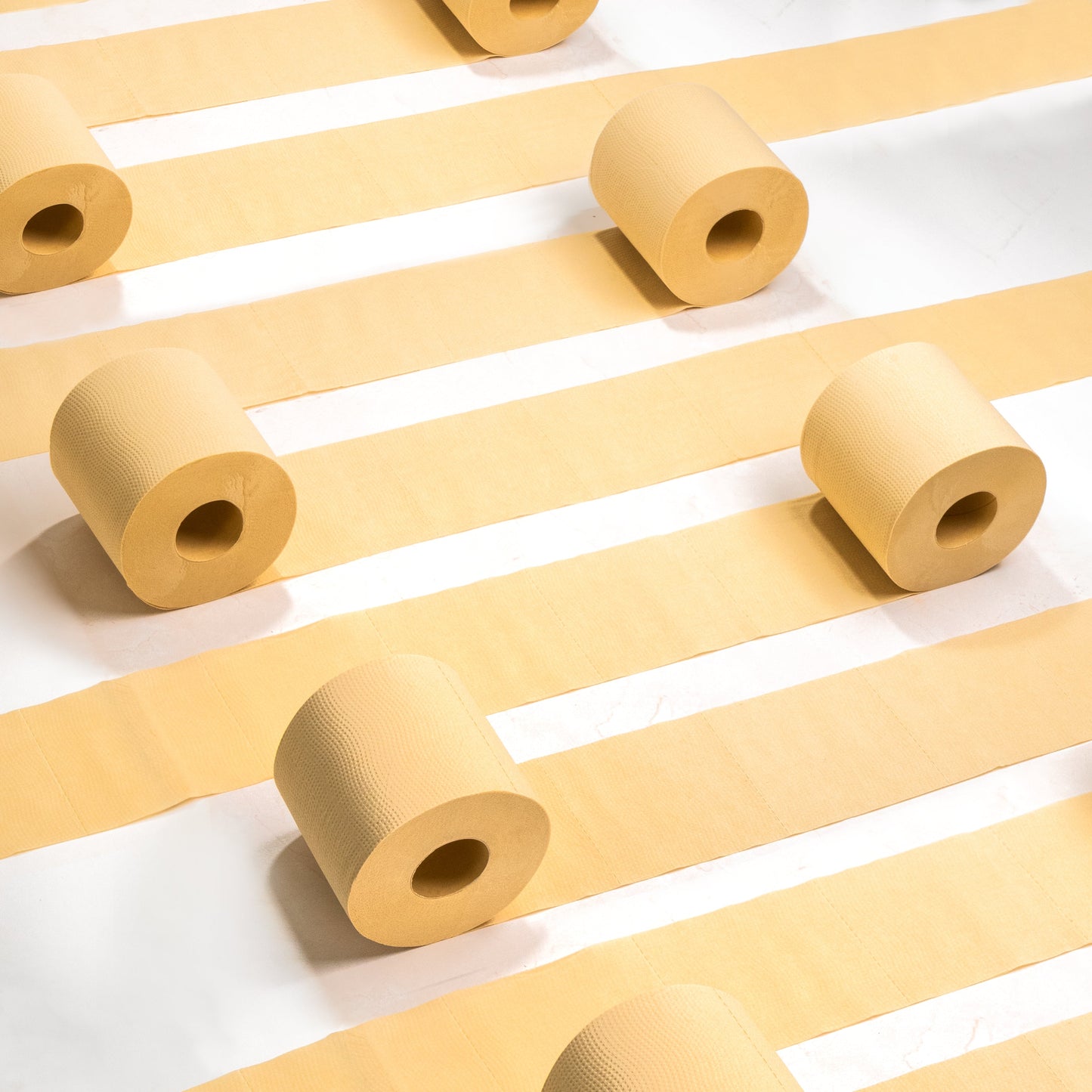 Panda Eco Paper Bamboo Toilet Paper rolls arranged on a white background in stripes
