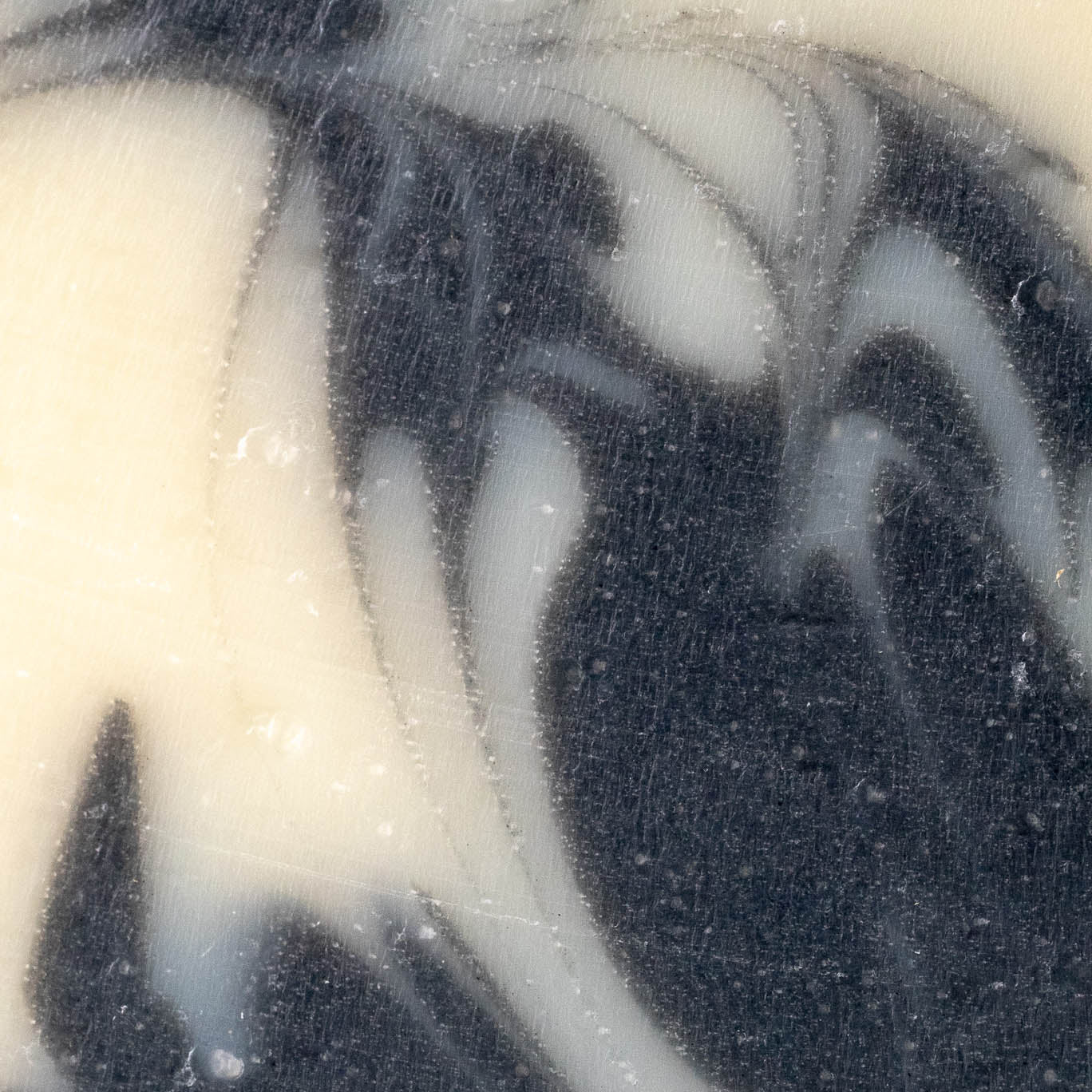 Close-up of black and white unscented charcoal soap bar