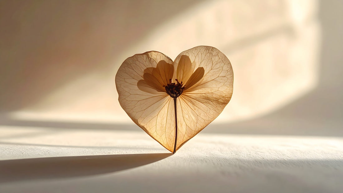 Sunlight cast through organic heart-shaped sustainable paper with shadows on natural textures