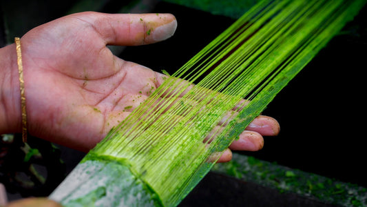 From agricultural waste to usable material: life cycle thinking begins before a product reaches the shelf. Pineapple leaf fiber being processed from agricultural waste into a sustainable material. 