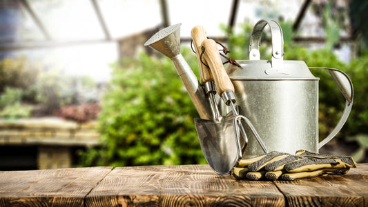 Sustainable Outdoor Living | Earthinary