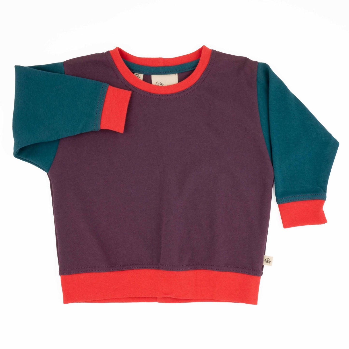 Baby Colorblock Sweatshirt - Grape