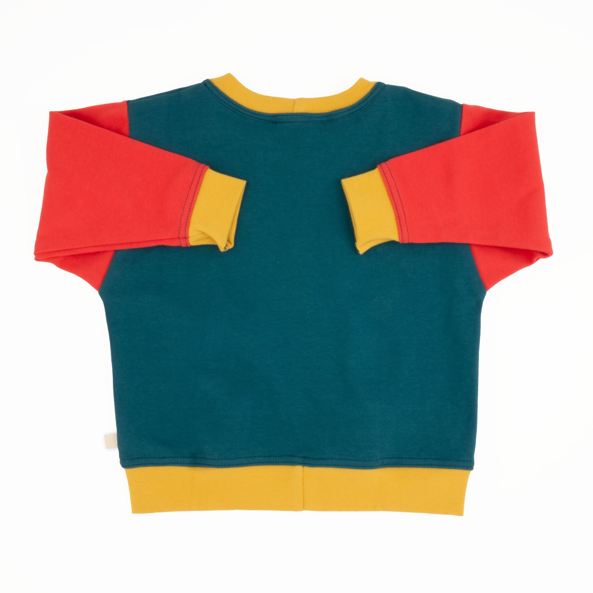 Baby Colorblock Sweatshirt - Bittersweet