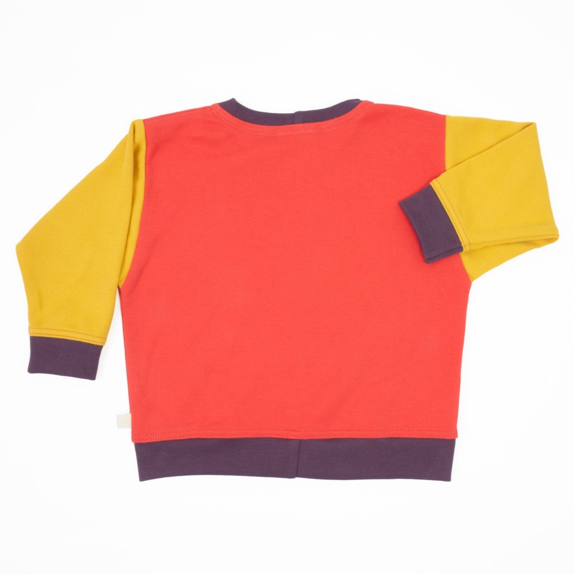 Baby Colorblock Sweatshirt - Bittersweet