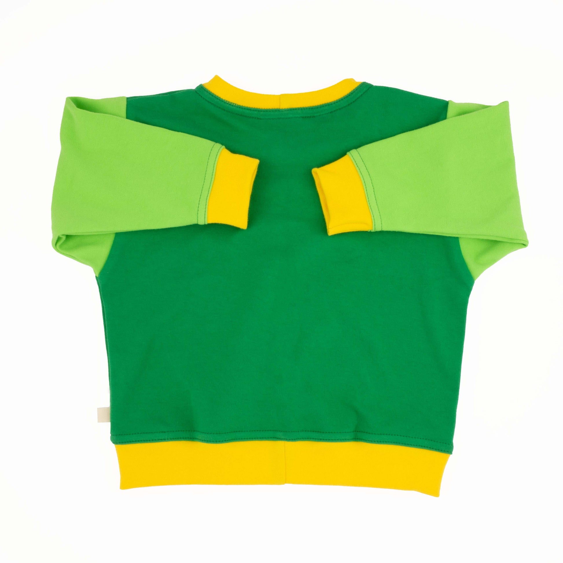 Baby Colorblock Sweatshirt - Greenfinch