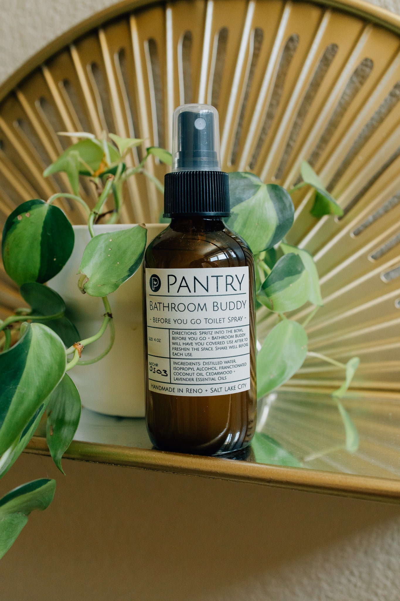 Pantry Bathroom Buddy for use in toilets Before You Go in an amber glass bottle labeled 'Pantry' with a fine mist spray nozzle on a surface with green leaves and a decorative mirror in the background.