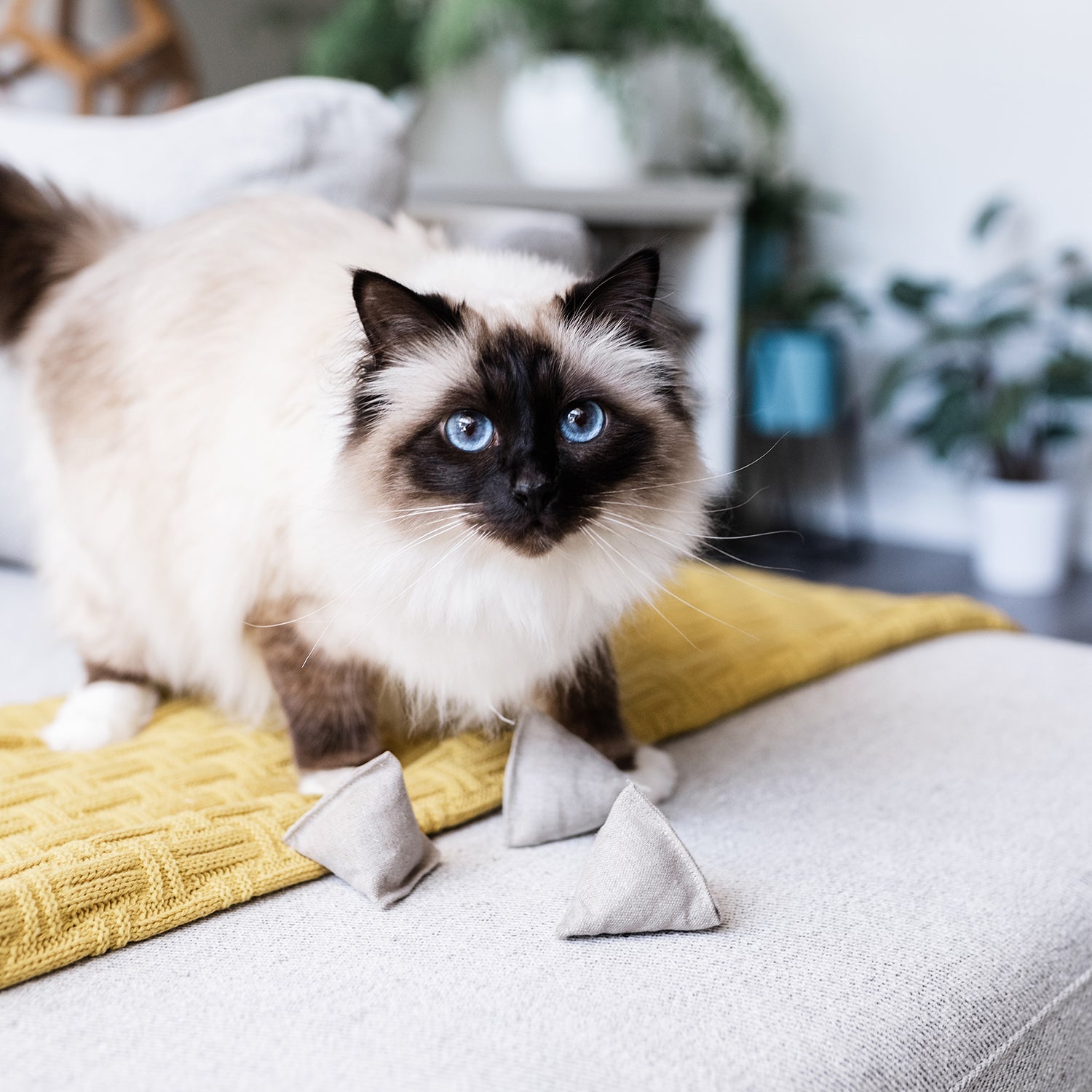 Hemp Pyramid Cat Toy by Bob & Vespa