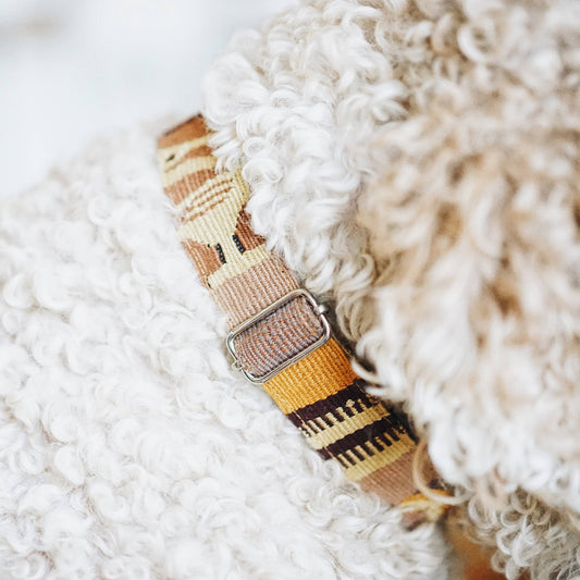 Boho Dog Collar