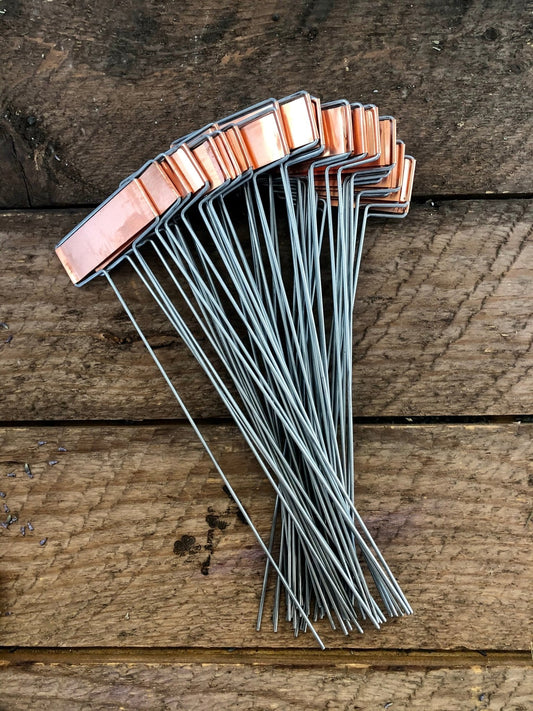 Set of metal plant stakes with copper tags on a wooden surface.