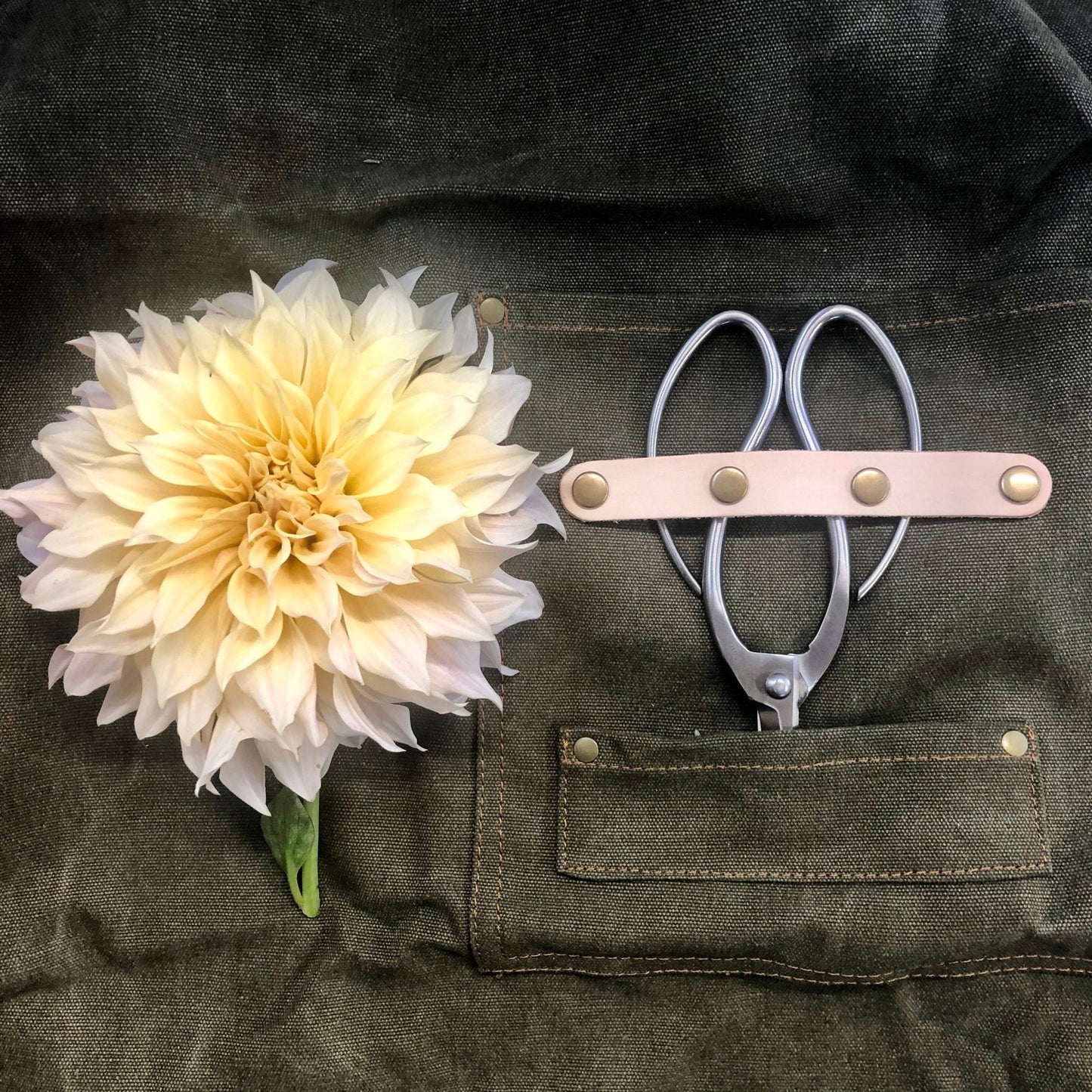 Pruning sheers and flower in garden apron.