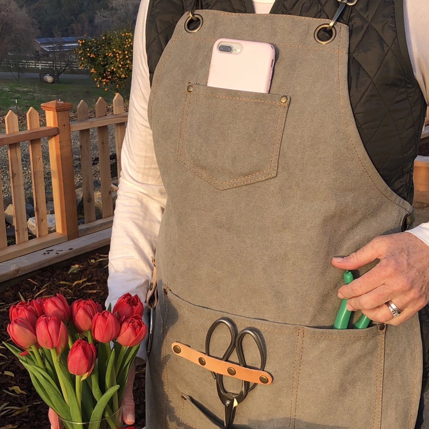 Person wearing a green garden apron holding red tulips and pruning sheers, with a wooden fence and garden in the background.