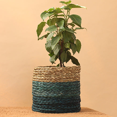 Biodegradable Handloomed Sabai Grass Planters - Indigo