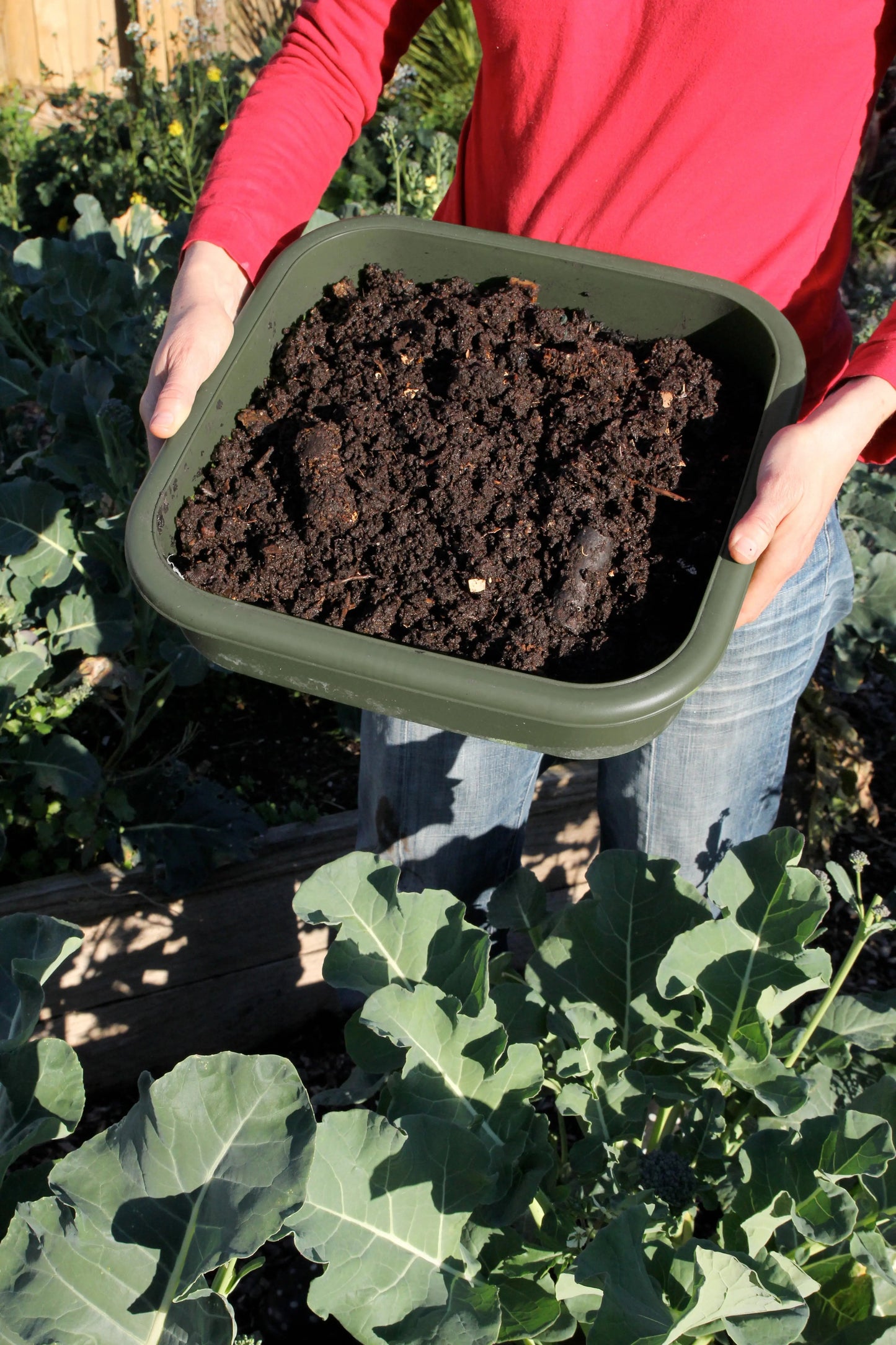 Person holding a green worm casting tray from the Hungry Bin filled with worm castings in a garden setting
