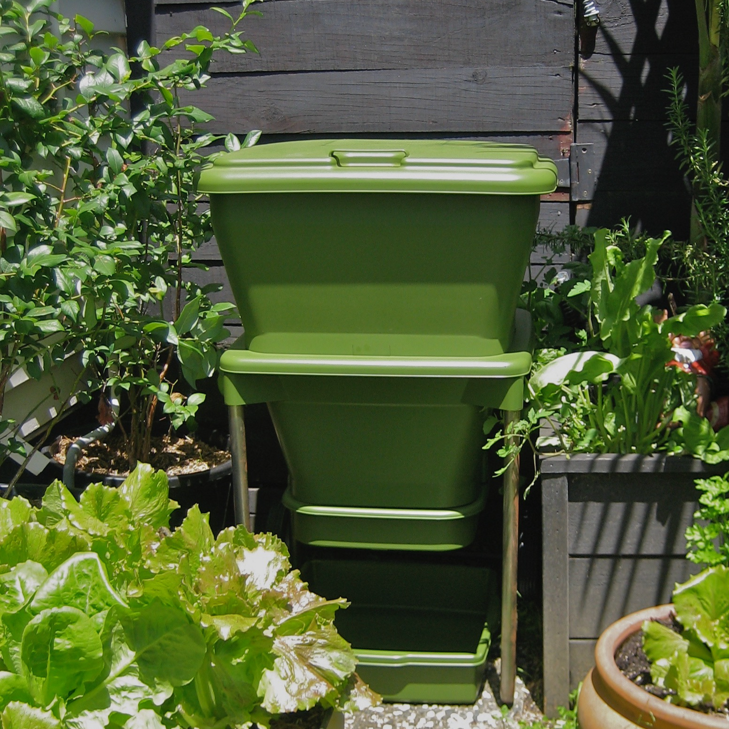 Hungry Bin for Composting