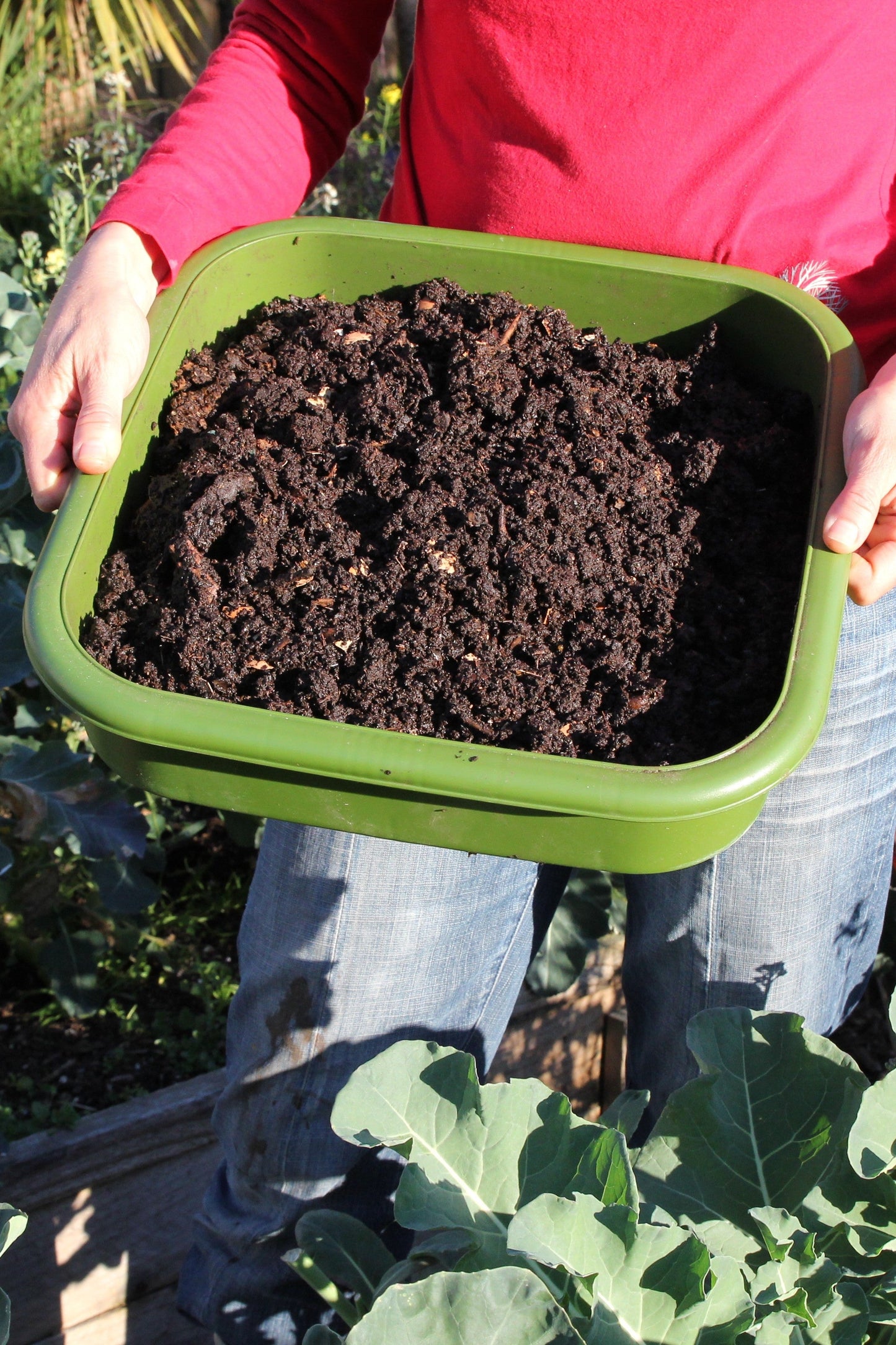 Hungry Bin Vermiculture Castings