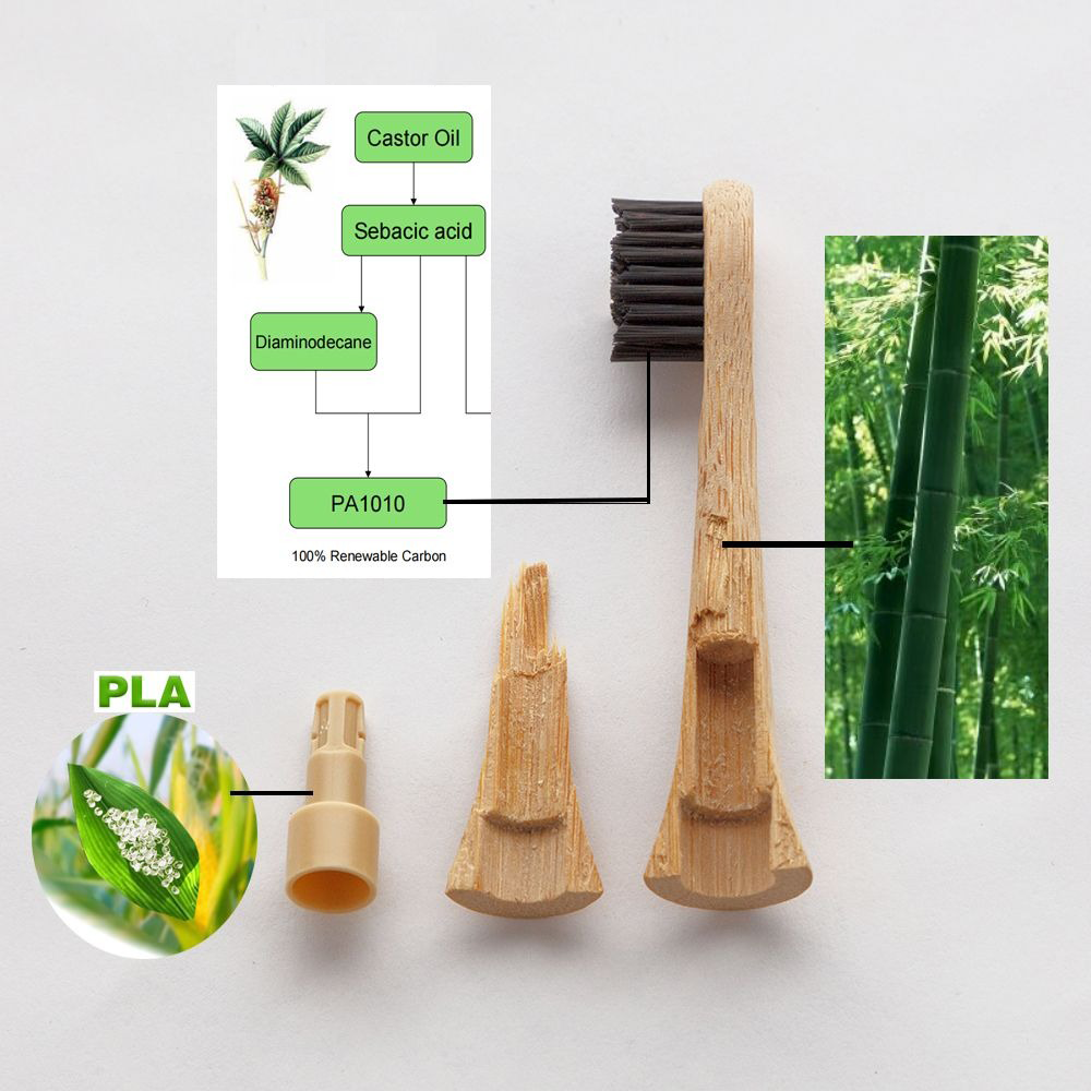 Kaylaan bamboo toothbrush head showing bamboo and plant-based materials
