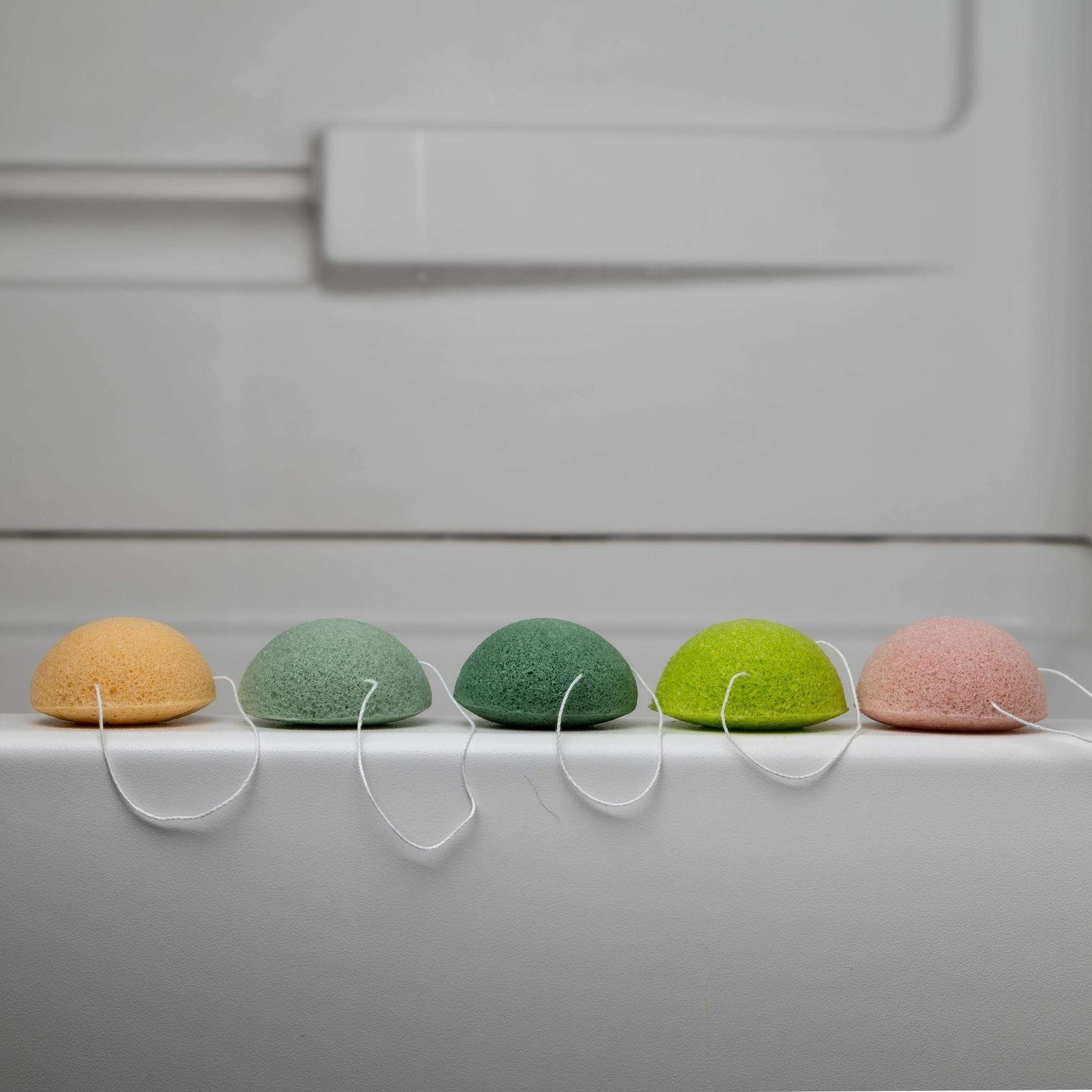 Konjac Sponge Varieties