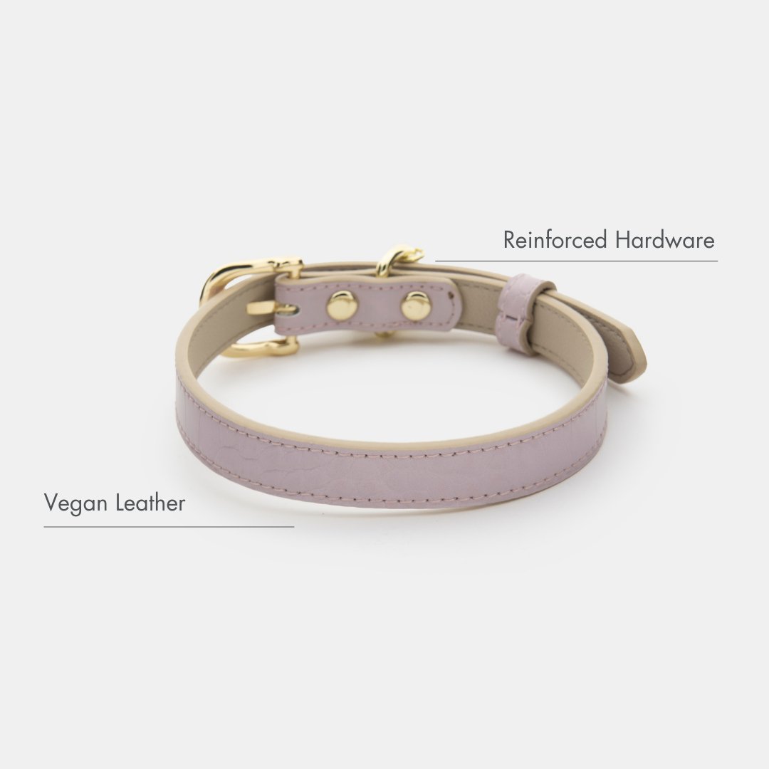 Vegan Leather Dog Collar by Nina Woof in Lilac with reinforced hardware and vegan leather text on a white background