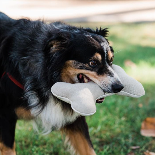 All Natural Hemp Dog Bone Toy