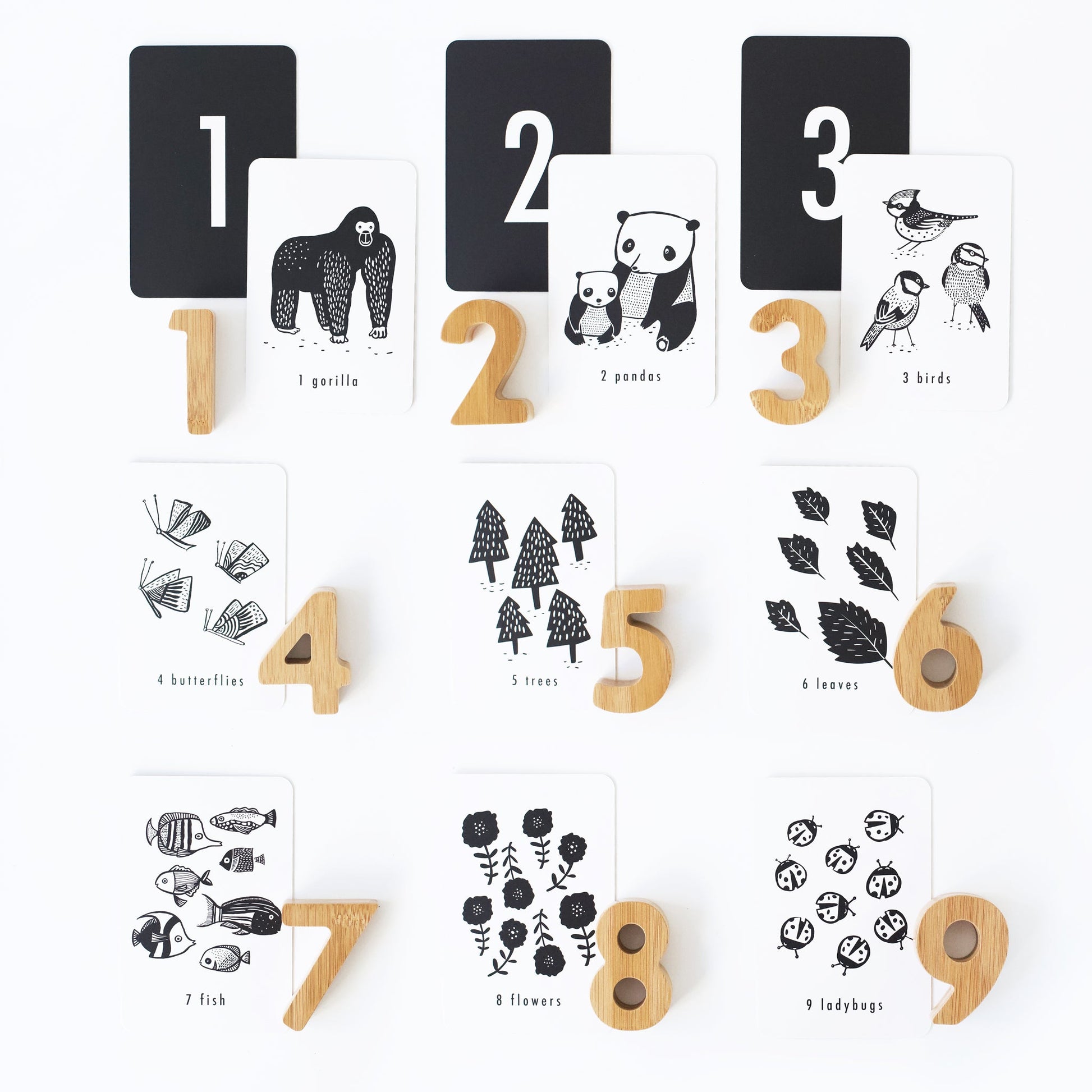 Nature Number Cards and Wooden Numbers Toys