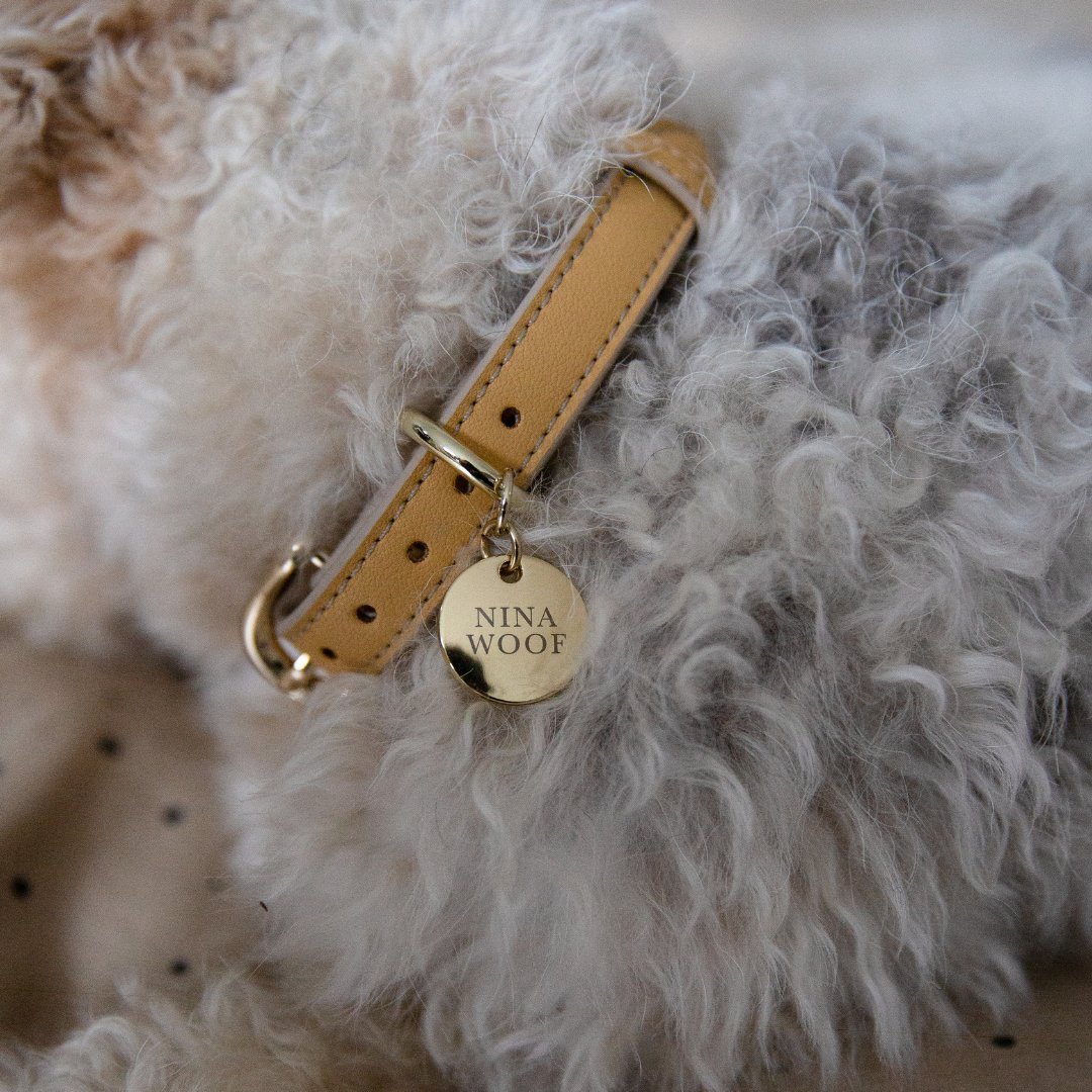 Beige Copenhagen Dog Collar made with recycled materials and PETA-approved soft vegan leather with gold reinforced hardware on a fluffy white dog