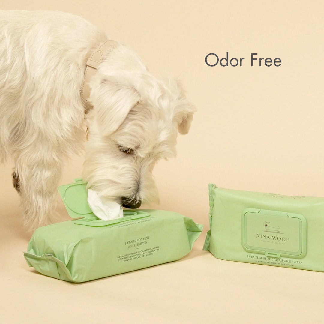 Dog interacting with a green package of Nina Wools odor-free pet wipes on a beige background