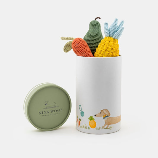 Crocheted Organic Cotton Veggie Dog Toy Bundle – Eco-Friendly Squeaky Carrot, Pear & Pineapple - toys in a Nina Woof branded container on a white background