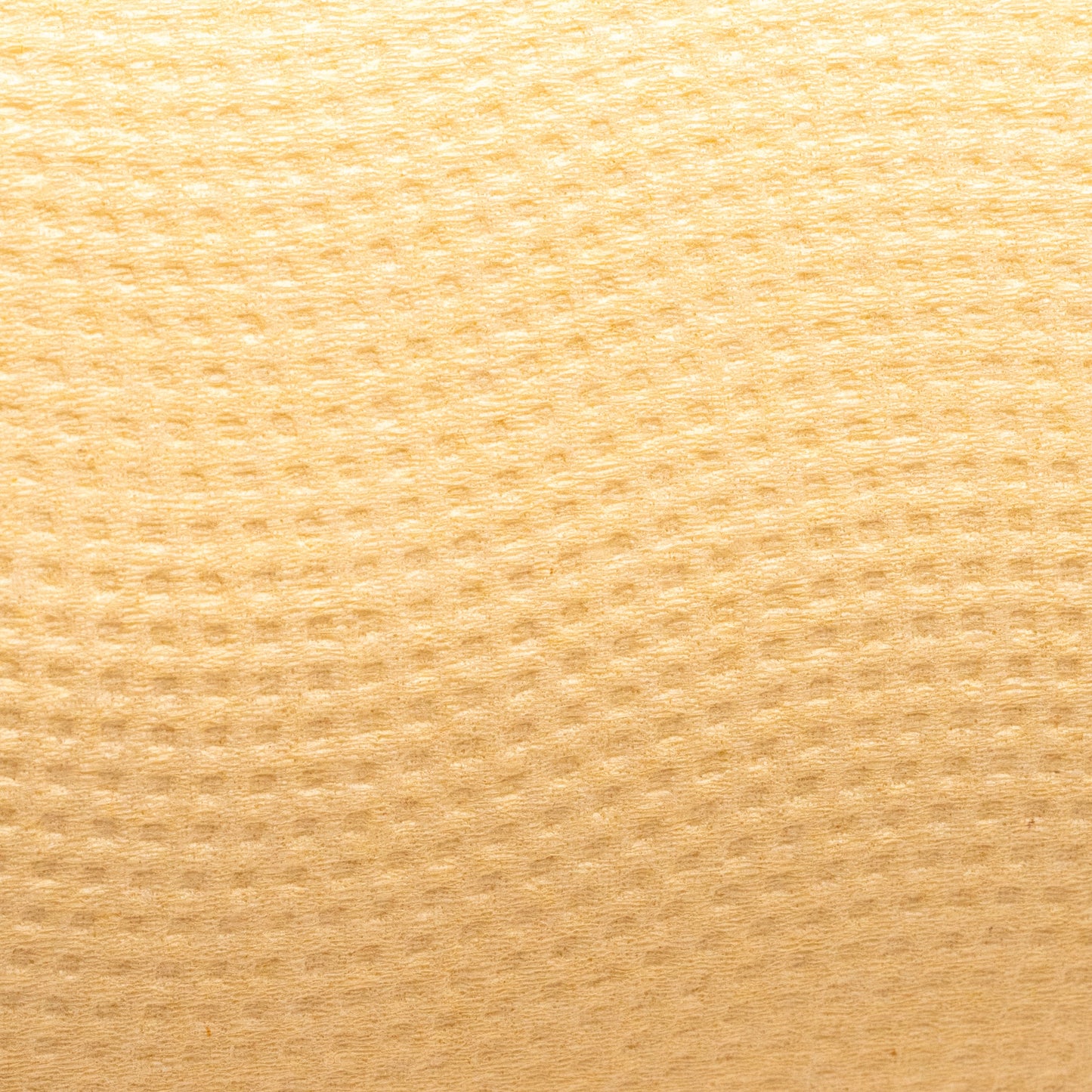 Close-up of beige Panda Eco Paper Quilted Bamboo Toilet Paper