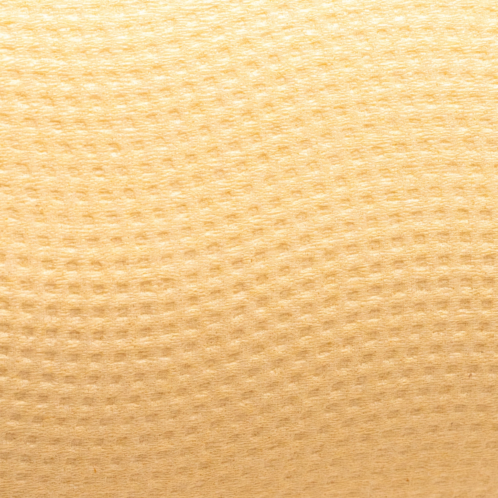 Close-up of beige Panda Eco Paper Quilted Bamboo Toilet Paper