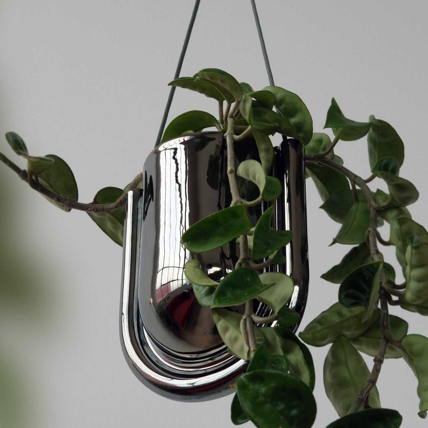 Portico Hanging Planter in Chrome Stoneware with green leaves against a neutral background