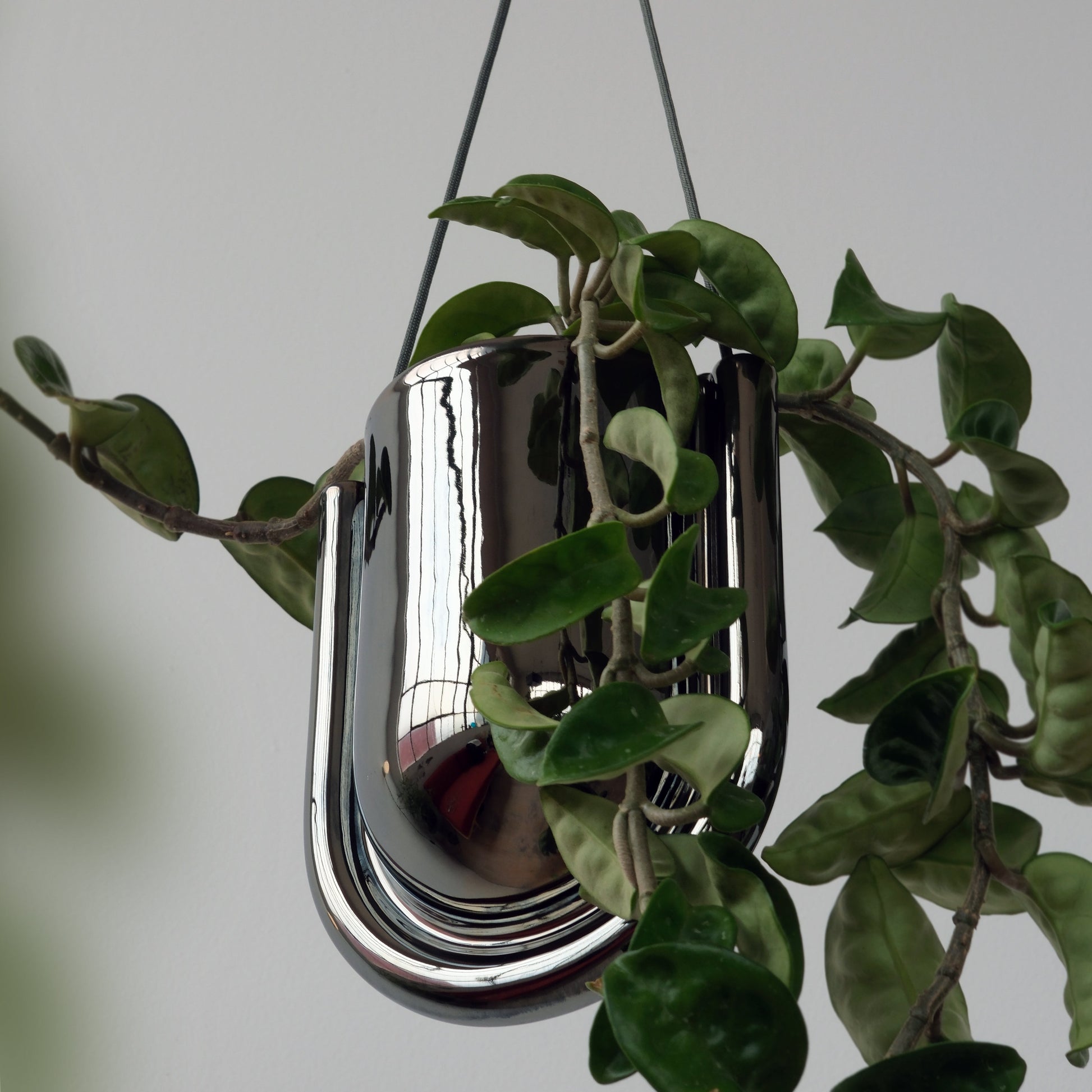 Portico Hanging Planter in Chrome Stoneware with green leaves against a neutral background