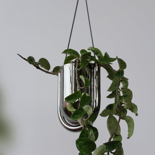 Portico Planter in Chrome - hanging planter with a plant against a gray background