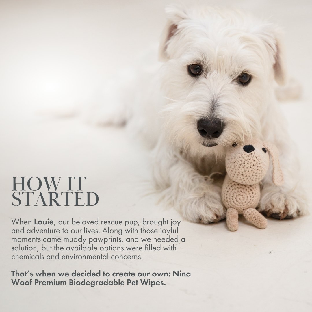 White dog holding a crochet toy with text about Nina Woof Premium Biodegradable Pet Wipes, an 100% plant-based solution to dirty paws.