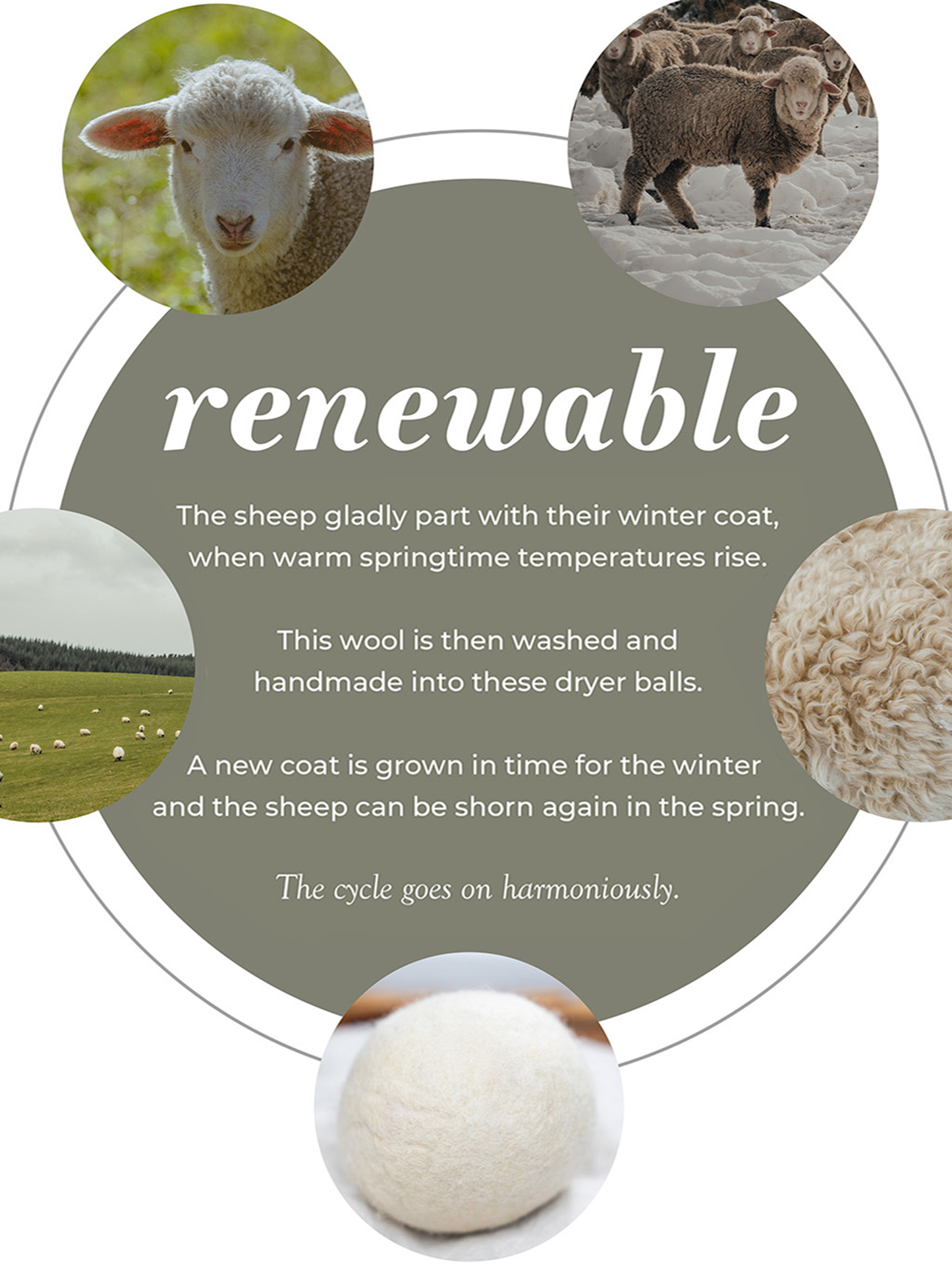 Promotional graphic about renewable dryer balls made from sheep's wool.