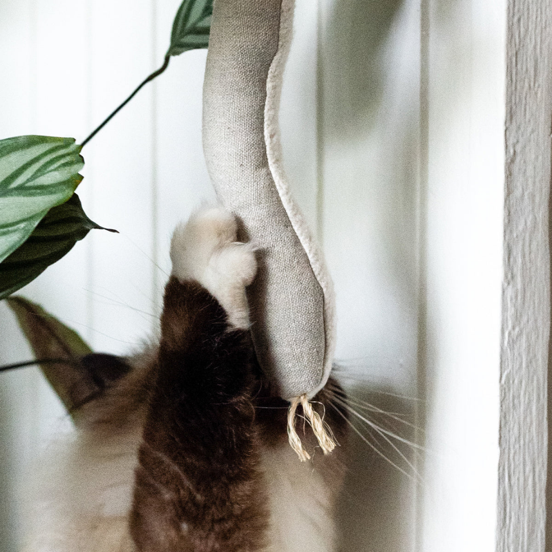 Snake Cat Toy with Catnip