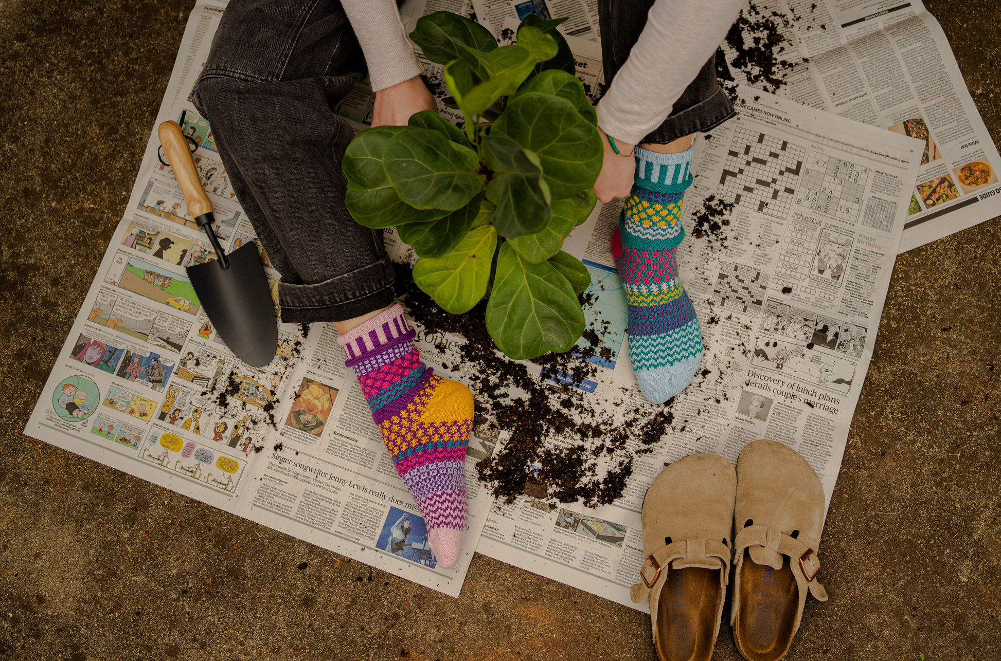 Person holding a plant on newspaper with colorful, mismatched Solmate Petunia Crew Socks on and shoes visible