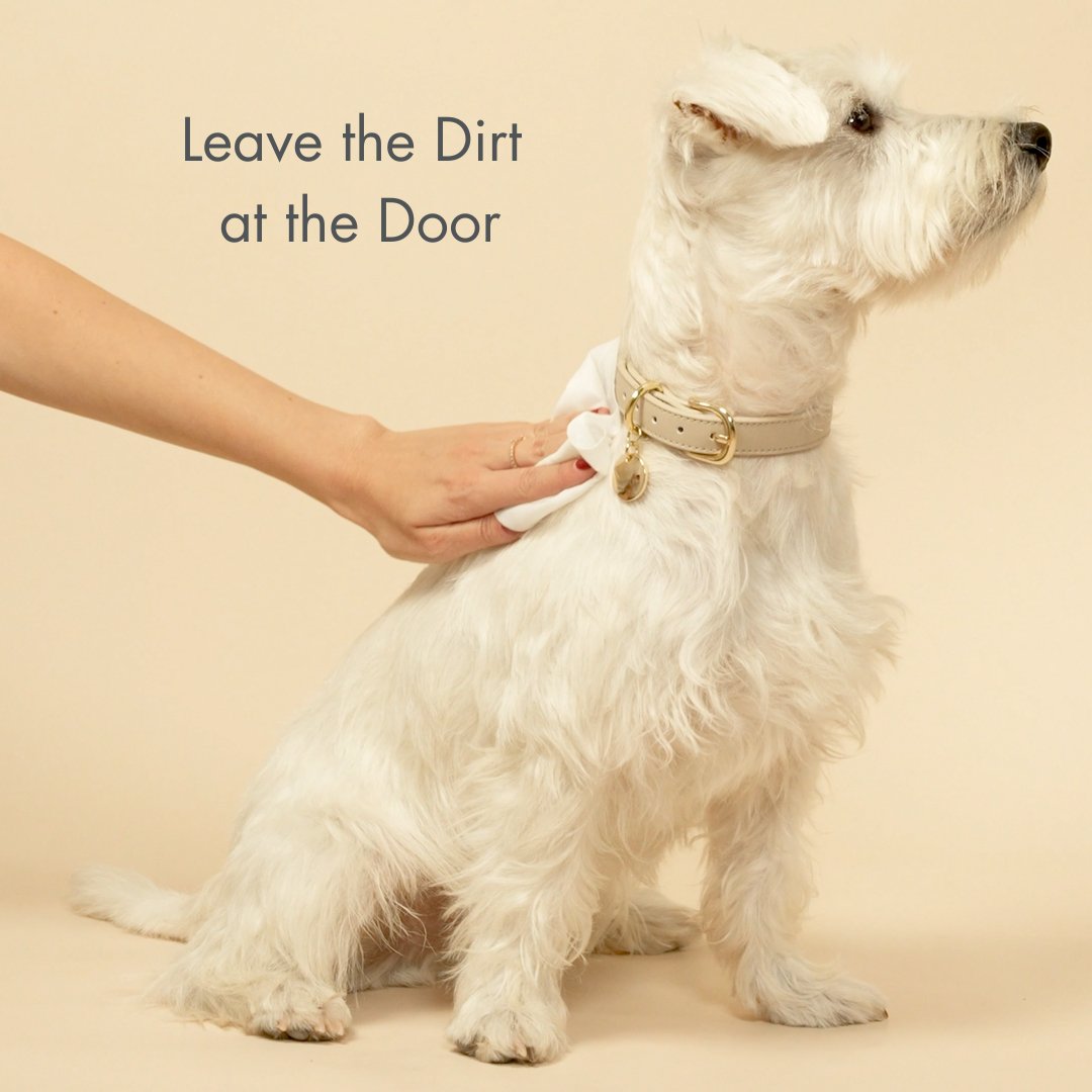 White dog being wiped by a person with a Nina Woof biodegradable pet wipe, with text 'Leave the Dirt at the Door' on a beige background