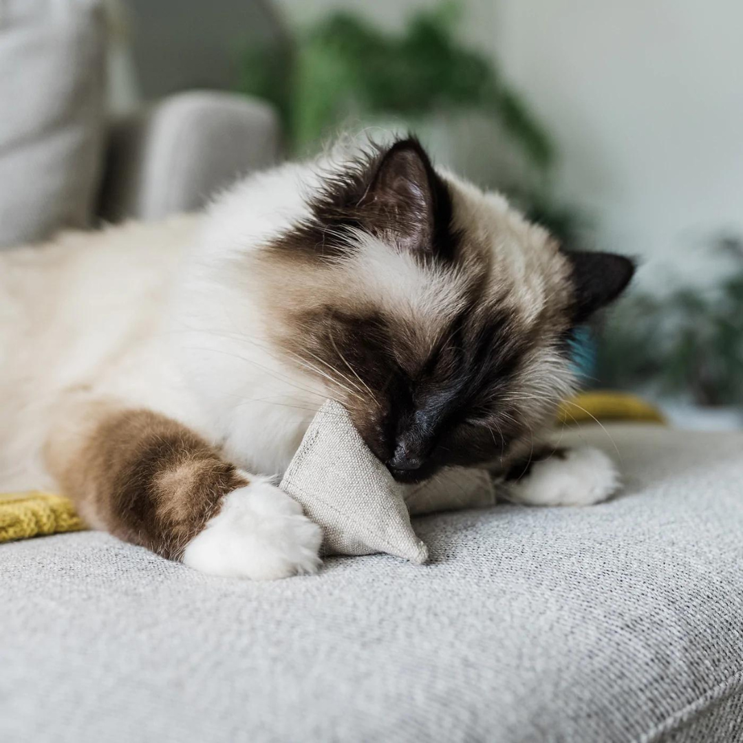 Sustainable Hemp Pyramid Cat Toy